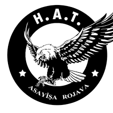 قوات التدخل السريع HAT.png