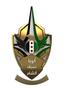 لواء سيف الشام