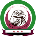 صقور الشمال.jpg