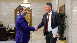 وزير الخارجية والمغتربين يستقبل وفداً أوروبياً في دمشق 8-7-2025 -1.jpg