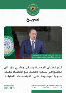 تصريحات السيد حسام زكي الأمين العام المساعد لجامعة الدول العربية في مؤتمر مع وزير الخارجية السوري 18-1-2025 (3).jpg