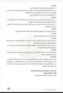الإعلان الدستوري5.jpg