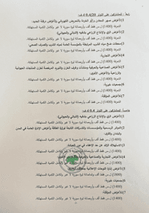 وزارة الطاقة- قرار رقم 687 صفحة 2.jpg