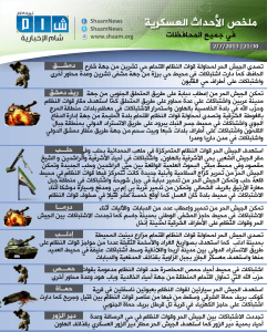 شبكة شام 2 7 2013.png