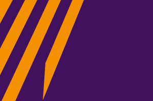 800px-Flag_of_the_Dutch_Ministry_of_Defence.svg.png