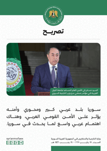 تصريحات السيد حسام زكي الأمين العام المساعد لجامعة الدول العربية في مؤتمر مع وزير الخارجية السوري 18-1-2025 (4).jpg