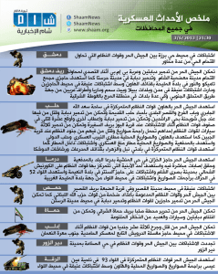 شبكة شام الإخبارية 3 6 2013.png