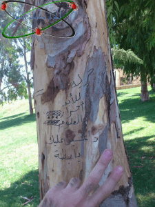 جامعة حلب 8 7 2012 شجرة.jpg