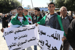 غزة 21 2 2012 ب.jpg